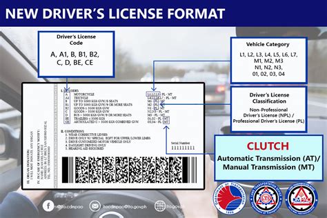 Guide to driver’s license restriction codes in the .